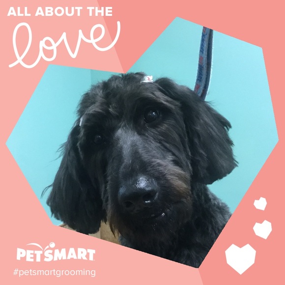 Meet your Posher, Tanya aka THRIFTYNAVYMOM ⚓️ - Picture 8 of 13